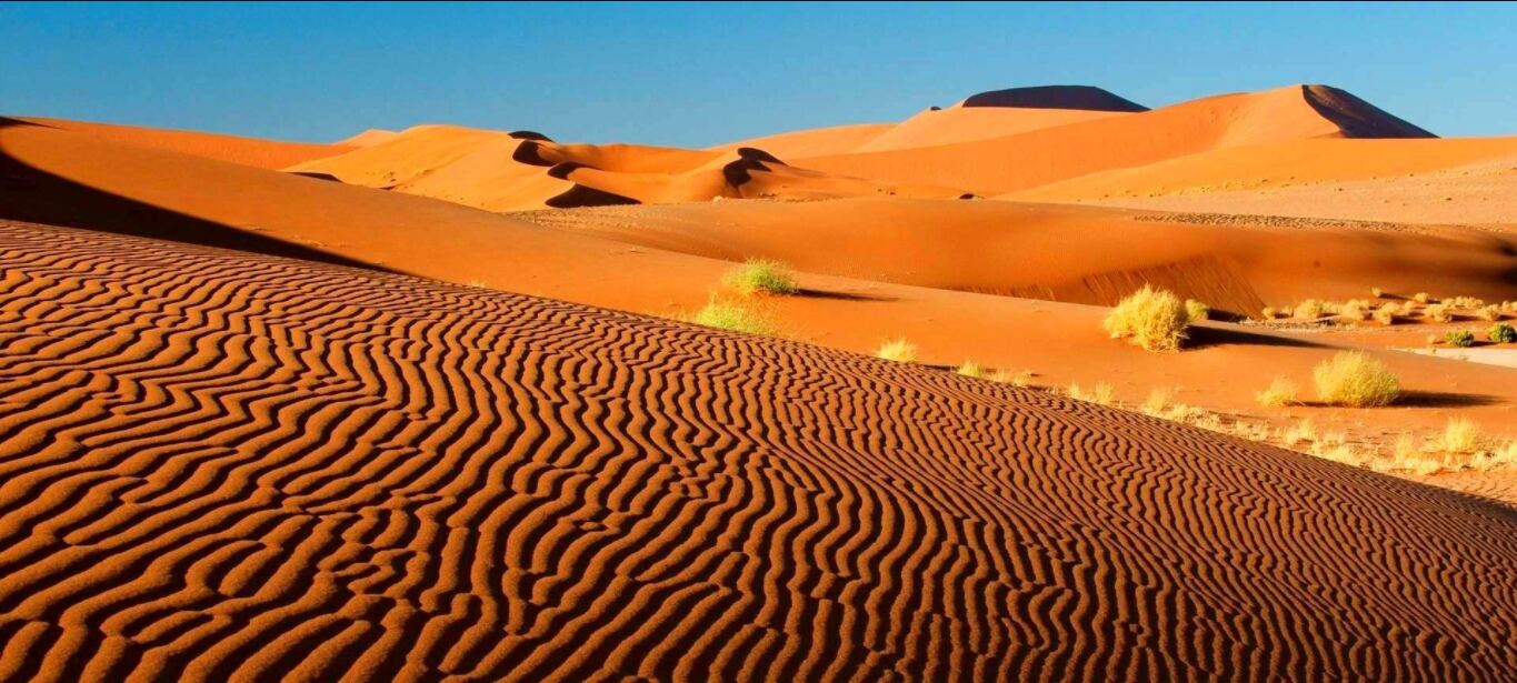 Southern Africa safari destination served by Intondolo Safaris