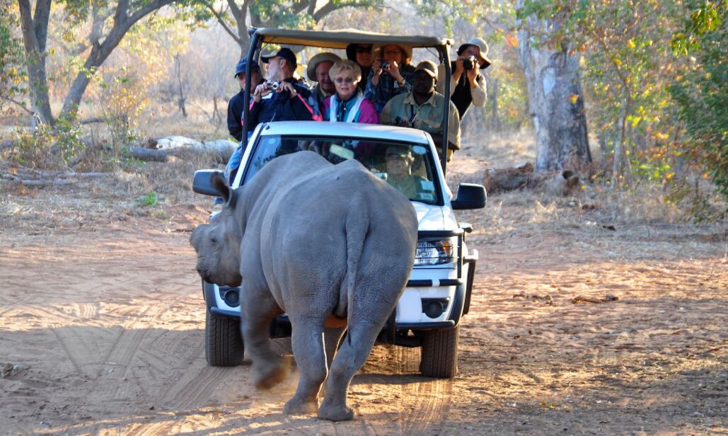 Chobe Full Day Safari — Botswana