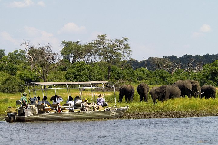 Chobe Full Day Safari Trip — Victoria Falls, Zimbabwe