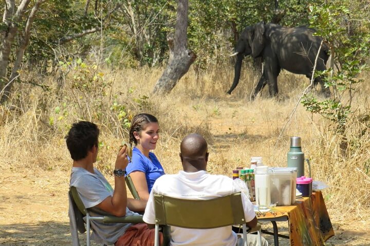 Chobe Safari Overnight Camping Trip — Victoria Falls, Zimbabwe