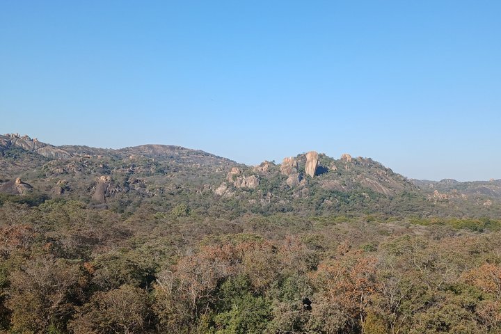 Matobo Hills Rhino Tracking and Rock Art Tour — Bulawayo, Zimbabwe