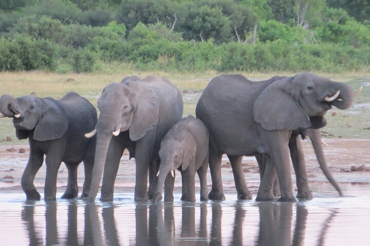 Things To Do In Victoria Falls Combo 5 — Livingstone, Zambia